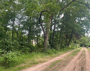 Uitzicht op weilanden nabij Vakantiehuis in Almen, gelegen in de groene Achterhoek, Gelderland.