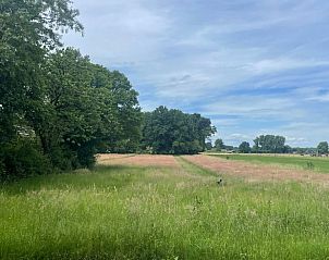 Uitgestrekte velden bij Vakantiehuis in Almen, perfect voor natuurliefhebbers in Achterhoek, Gelderland.