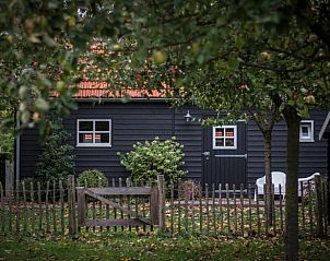 Guest house 297307 - Holiday property Achterhoek - Vakantiehuisje in Megchelen