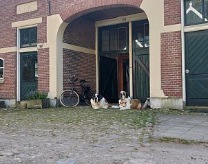 Charmante entree met honden bij Vakantiehuisje in Winterswijk Woold, Achterhoek, Gelderland.