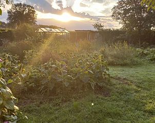 Prachtige tuin bij zonsondergang bij Vakantiehuis in Winterswijk Woold, een serene plek in de Achterhoek, Gelderland.