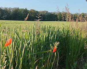 Verblijf 297405 - Vakantiewoning Achterhoek - Vakantiehuisje in Winterswijk Woold