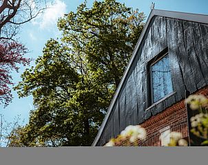 Vakantiehuis in Winterswijk Woold met prachtig uitzicht op de groene omgeving, gelegen in de Achterhoek, Gelderland.