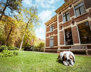 Rustieke buitenkant van Huisje in Winterswijk Woold, vakantiehuis in de Achterhoek, met groene omgeving.