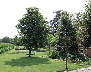 Geniet van de groene tuin bij Huisje in Winterswijk Woold, een vakantiehuis in de natuurrijke Achterhoek, Gelderland.