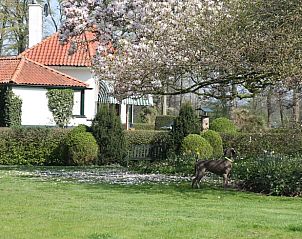 Verblijf 297417 - Vakantiewoning Achterhoek - Vakantiehuisje in Winterswijk Woold