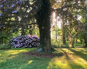Verblijf 297417 - Vakantiewoning Achterhoek - Vakantiehuisje in Winterswijk Woold