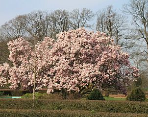 Verblijf 297417 - Vakantiewoning Achterhoek - Vakantiehuisje in Winterswijk Woold