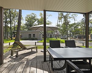 Guest house 297524 - Bungalow Achterhoek - De Vlinderhoeve | 2-persoons woning | 2C