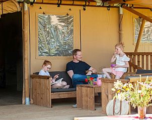 Unterkunft 297709 - Zelthaus Achterhoek - Safaritent Hilgelo