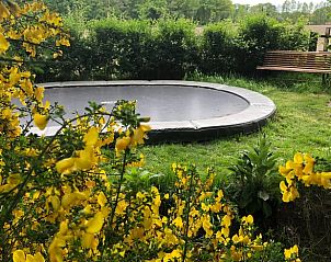 Guest house 297714 - Holiday property Achterhoek - Huisje in Winterswijk - Meddo