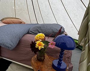 Unterkunft 297909 - Ferienhaus Achterhoek - Vakantiehuisje in Voorst