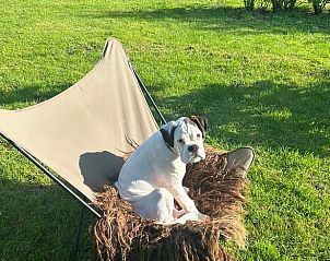 Unterkunft 297909 - Ferienhaus Achterhoek - Vakantiehuisje in Voorst