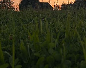 Unterkunft 297909 - Ferienhaus Achterhoek - Vakantiehuisje in Voorst