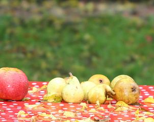 Unterkunft 297910 - Ferienhaus Achterhoek - Vakantiehuis in Voorst Oude IJsselstreek