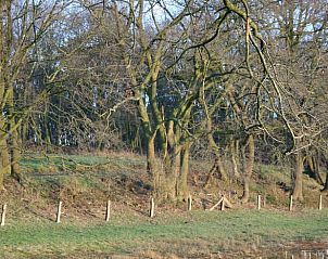 Unterkunft 297910 - Ferienhaus Achterhoek - Vakantiehuis in Voorst Oude IJsselstreek