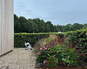 Guest house 298103 - Holiday property Achterhoek - Vakantiehuis in Baak