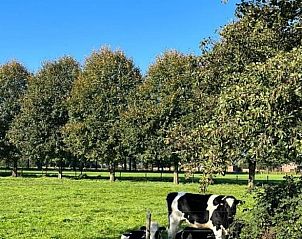 Guest house 298103 - Holiday property Achterhoek - Vakantiehuis in Baak