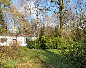 Rustiek vakantiehuis in Winterswijk Ratum met weelderige tuin in de Achterhoek, Gelderland.