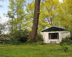 Vakantiehuis in Winterswijk Ratum met uitzicht op groene omgeving in de Achterhoek, Gelderland.