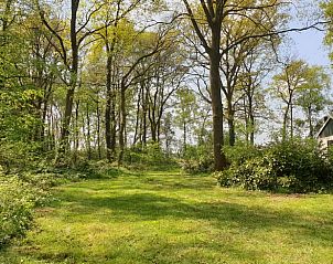 Bosrijke omgeving van vakantiehuis in Winterswijk Ratum, perfecte natuurbeleving in de Achterhoek, Gelderland.