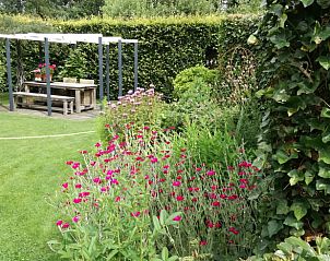 Guest house 298301 - Holiday property Achterhoek - Vakantiehuis in Dinxperlo