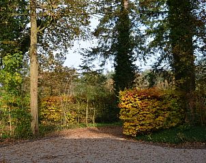 Guest house 298405 - Holiday property Achterhoek - Vakantiehuis in Joppe