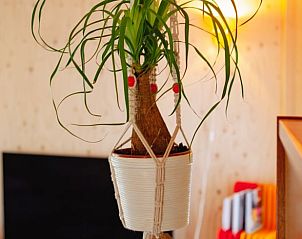 Guest house 298406 - Holiday property Achterhoek - Vakantiehuisje in Joppe