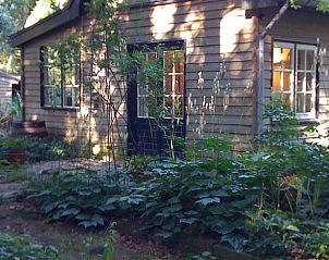 Rustic vacation home in Joppe, Achterhoek, Gelderland surrounded by green nature and serene surroundings.