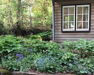 Guest house 298408 - Holiday property Achterhoek - Vakantiehuis in Joppe (bij Eefde)