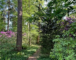 Guest house 298408 - Holiday property Achterhoek - Vakantiehuis in Joppe (bij Eefde)