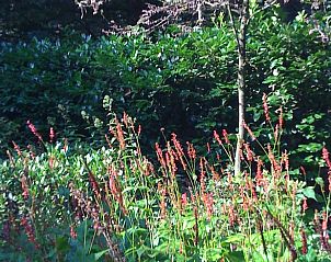 Guest house 298408 - Holiday property Achterhoek - Vakantiehuis in Joppe (bij Eefde)