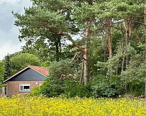 Guest house 298410 - Holiday property Achterhoek - Vakantiehuis in Joppe