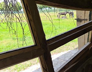 Uitzicht vanuit raam op groene velden in Vakantiehuis in Winterswijk Corle, Achterhoek, Gelderland.