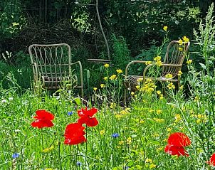 Buitenruimte met kleurrijke bloemen bij Vakantiehuis in Winterswijk Corle, Achterhoek.