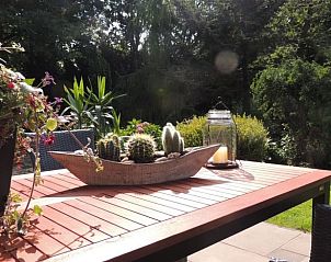Terras met decoratieve planten bij Vakantiehuis in Winterswijk Corle, ideaal voor buiten dineren in Achterhoek, Gelderland.