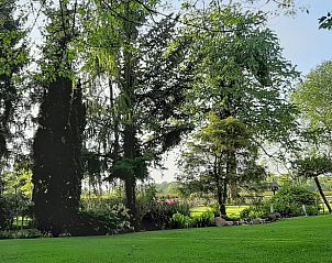 Uitzicht op groene omgeving vanuit de tuin van Vakantiehuis in Winterswijk Corle, Achterhoek, Gelderland.