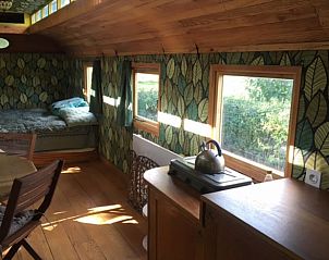 Unterkunft 298606 - Ferienhaus Achterhoek - Huisje in Wilp