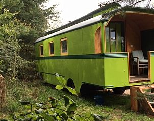 Unterkunft 298606 - Ferienhaus Achterhoek - Huisje in Wilp