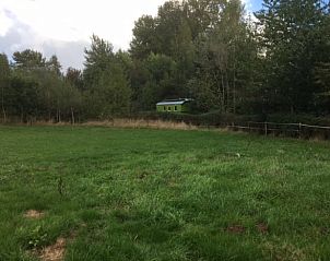 Unterkunft 298606 - Ferienhaus Achterhoek - Huisje in Wilp