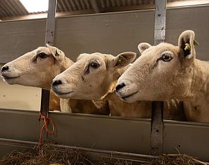 Unterkunft 298608 - Ferienhaus Achterhoek - Vakantiehuisje in Wilp-Achterhoek