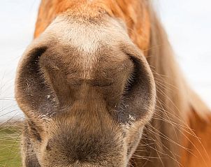 Unterkunft 298608 - Ferienhaus Achterhoek - Vakantiehuisje in Wilp-Achterhoek