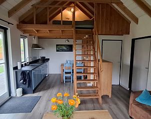 Unterkunft 298609 - Ferienhaus Achterhoek - Vakantiehuis in Wilp