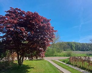 Unterkunft 298609 - Ferienhaus Achterhoek - Vakantiehuis in Wilp