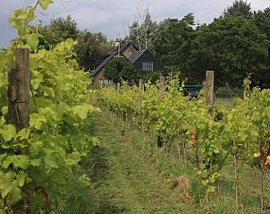 Unterkunft 298611 - Ferienhaus Achterhoek - Huisje in Wilp