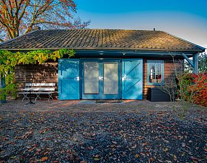 Verblijf 300414 - Vakantiewoning Gelderse vallei - Huisje in Brummen