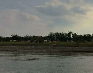 Verblijf 300414 - Vakantiewoning Gelderse vallei - Huisje in Brummen