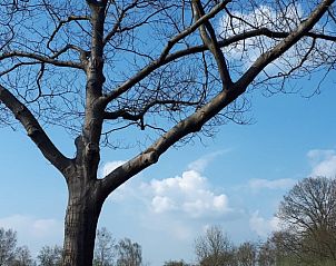 Unterkunft 300416 - Ferienhaus Gelderse vallei - Vakantiehuis in Brummen
