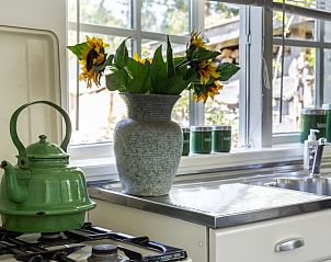 Unterkunft 300707 - Ferienhaus Gelderse vallei - Huisje in Leuvenheim