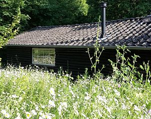 Unterkunft 300802 - Ferienhaus Gelderse vallei - Huisje in Empe